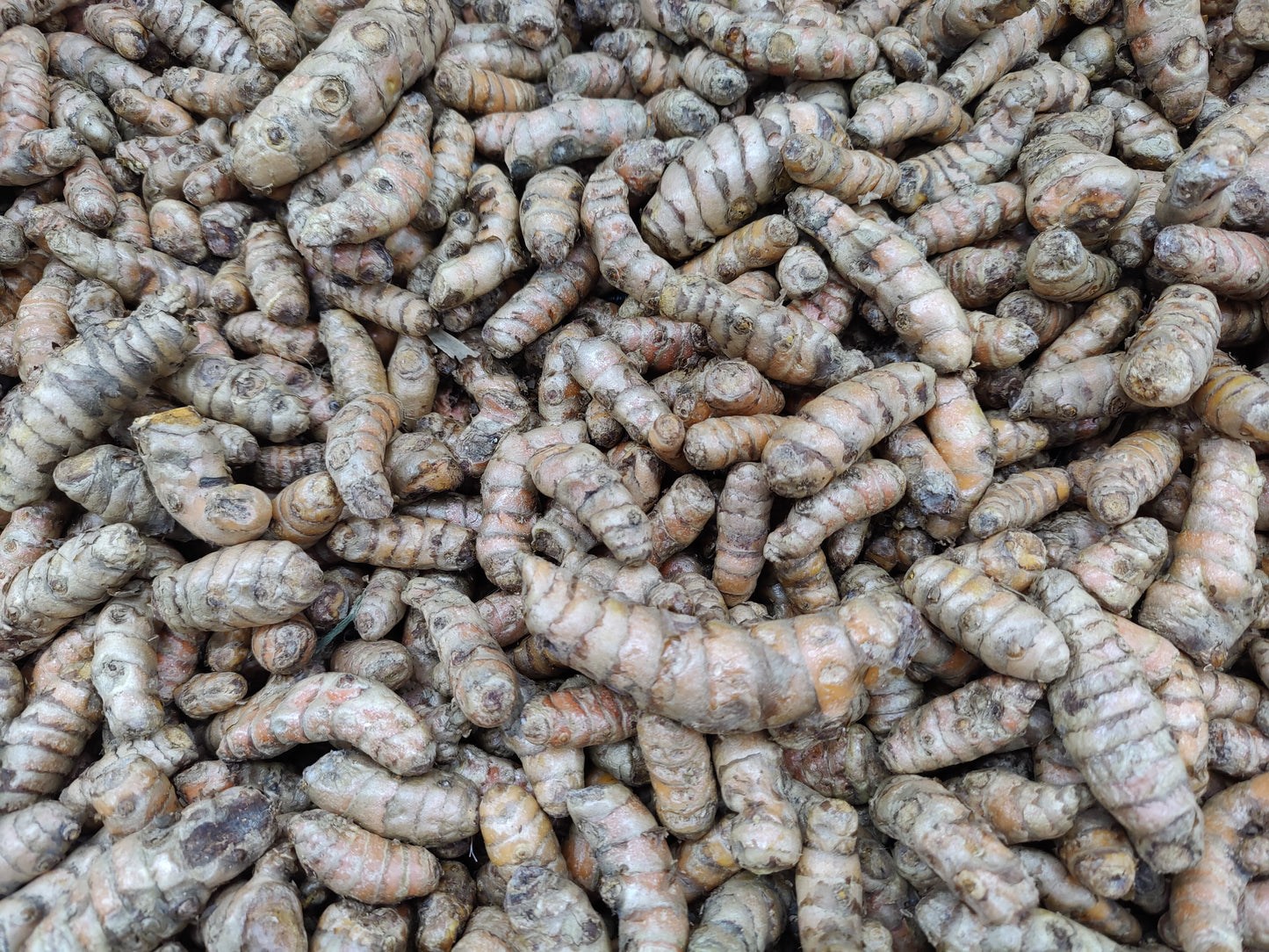 Organic Fresh Turmeric Root – USDA Certified Organic – Fresh, Earthy & Aromatic