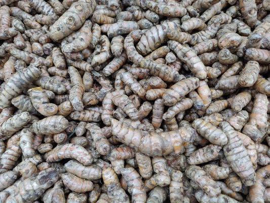 Organic Fresh Turmeric Root – USDA Certified Organic – Fresh, Earthy & Aromatic
