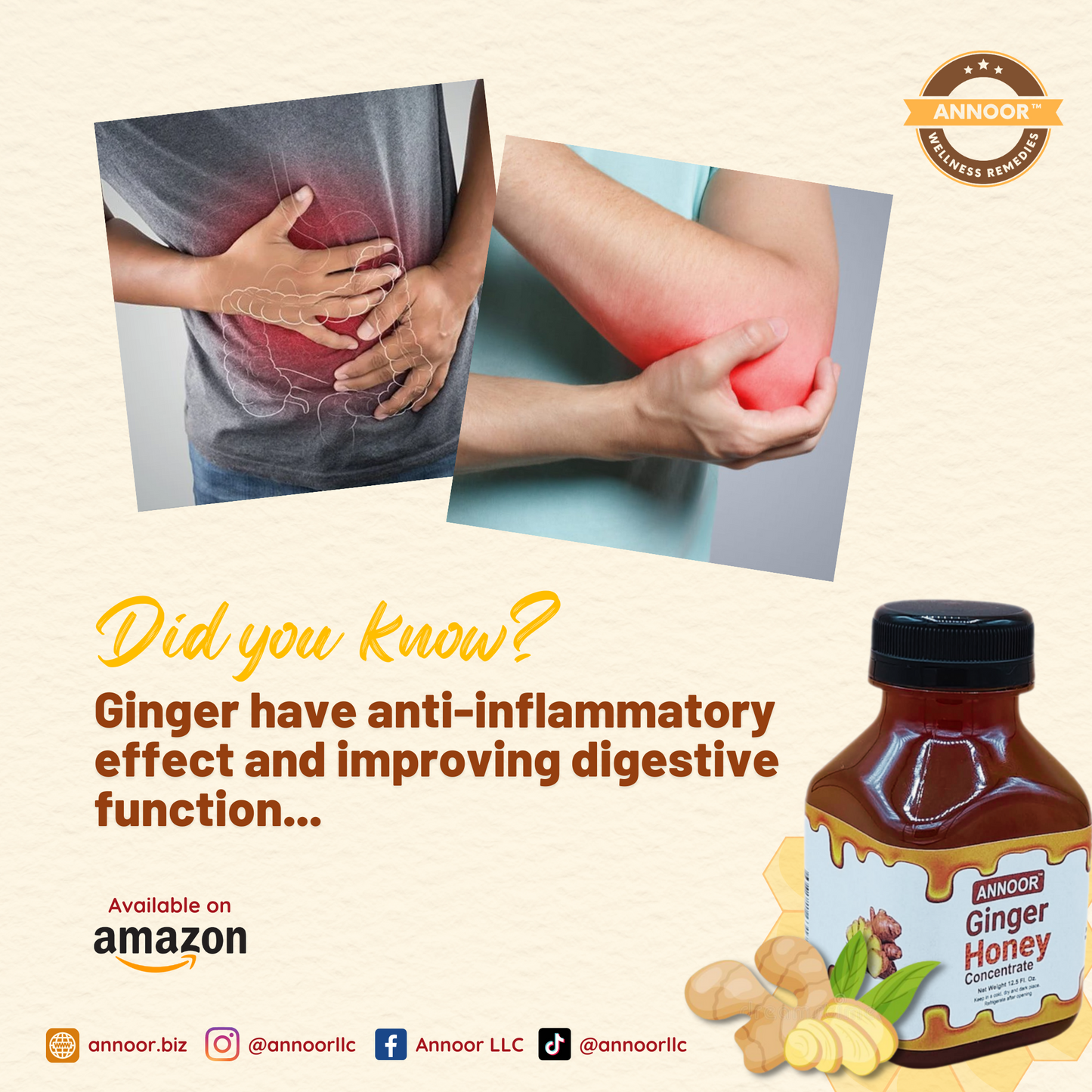 Ginger Honey Syrup By Annoor | 8.5 Fl Oz | NFC | Raw Wildflower Honey and Cold Press Ginger Juice | No Pulp | Use in Tea, Coffee, Cocktail, Water