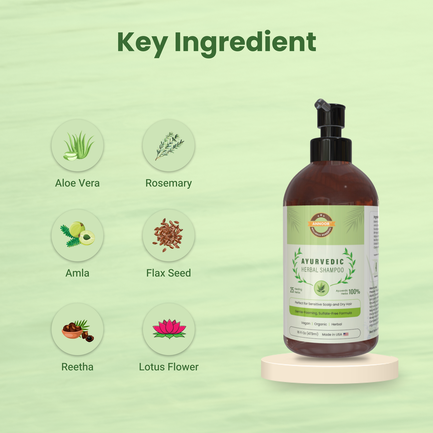 Ayuverdic Herbal Shampoo by Annoor | 16 Oz | Plants Based | Sulfate Free | With Amla, Reetha, Shikakai, Aloe Vera & 25 Healing Herbs | For Sensitive Scalp | Rejuvenate, Shine, Moisturize