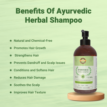 Annoor Ayurvedic Herbal Shampoo – Sulfate-Free, Plant-Based, Gentle & Nourishing for All Hair Types (16.9 fl oz / 500 mL)